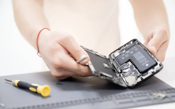 Professionel Blog Reparation​